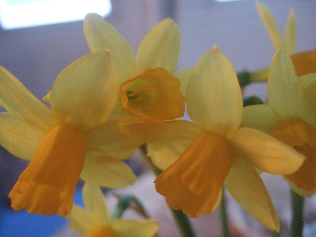 dscf0567