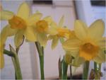 dscf0574