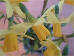 dscf0576