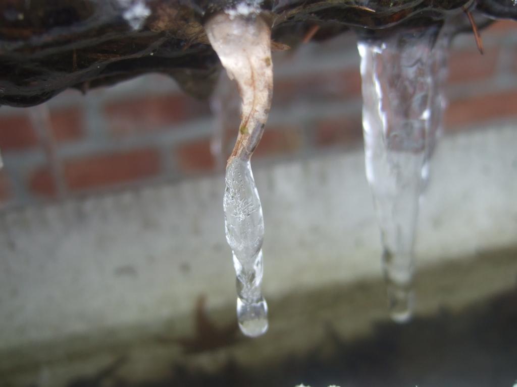 dscf0593