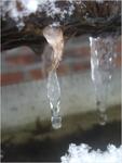 dscf0594