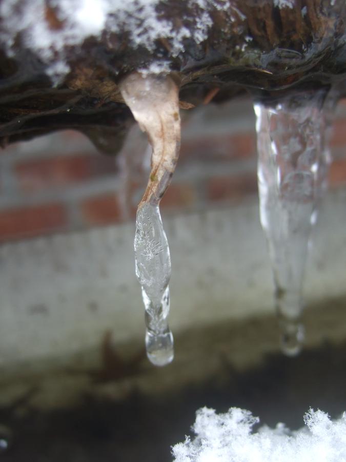 dscf0594