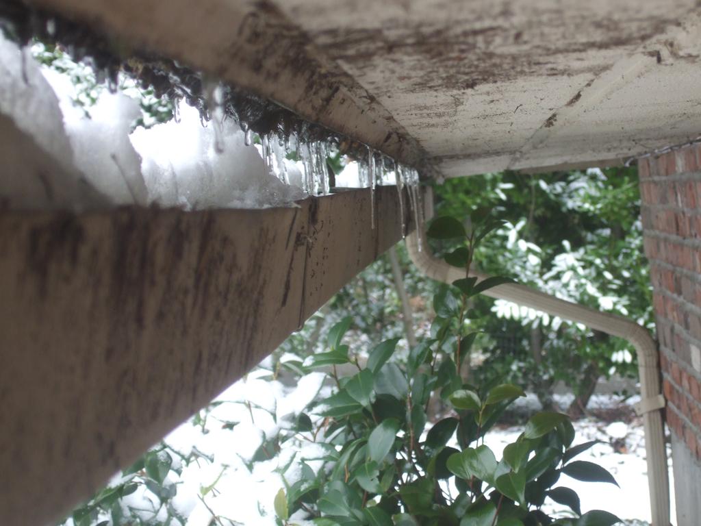 dscf0608