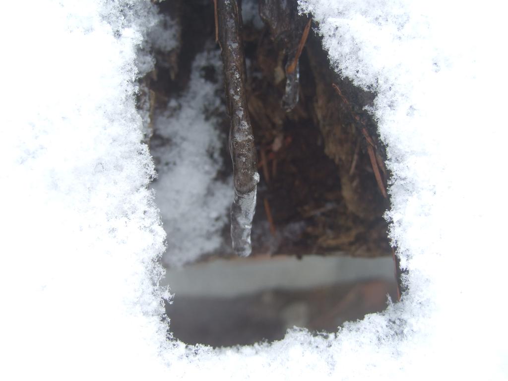 dscf0612