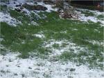 dscf0619