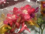 dscf0765