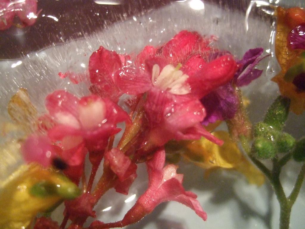 dscf0765