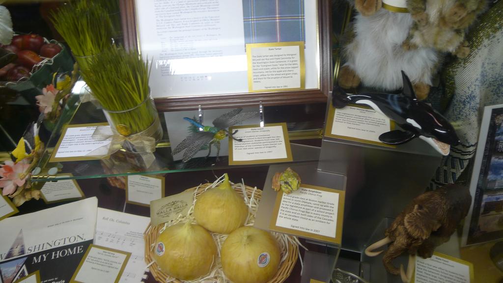 p1060930