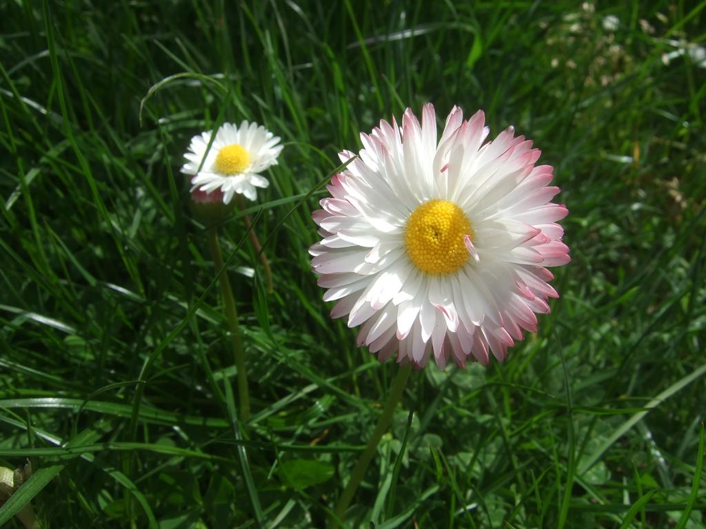 dscf0815
