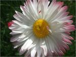 dscf0817