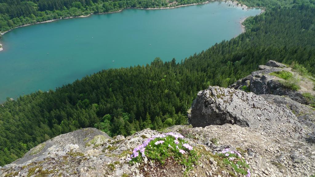 p1070247