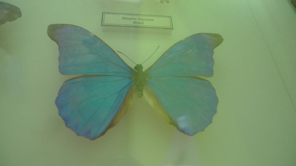 p1070753