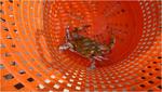 p1070832